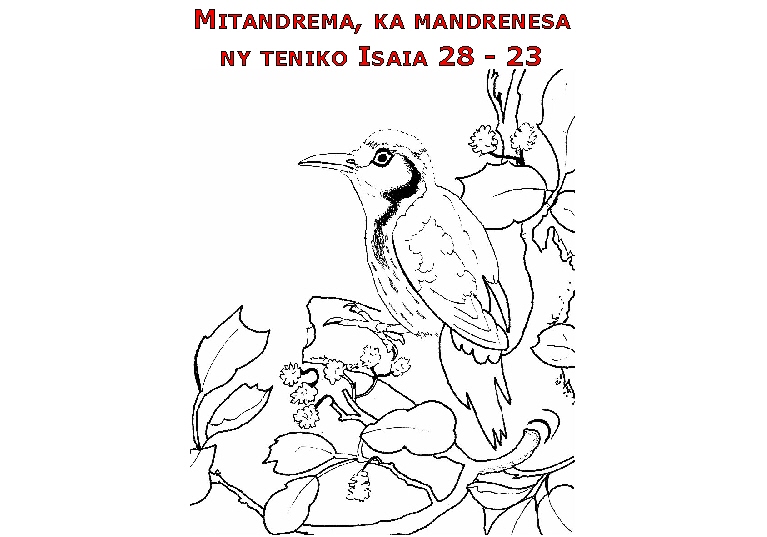 Carte05_Esaie28_malgache.jpg