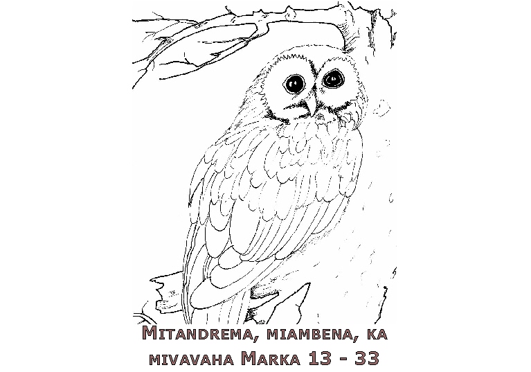 Carte10_Marc13_malgache.jpg